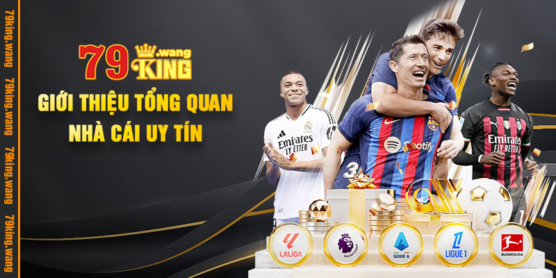 Khái quát về trang game đình đám 79KING